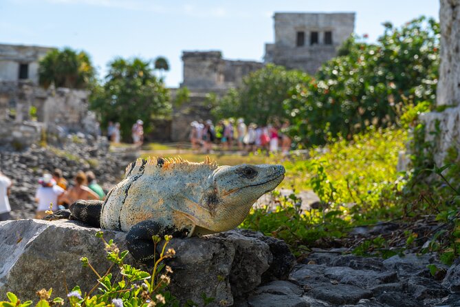 Tulum and Coba Ruins with a Cenote Experience - Explore the Ancient Mayan Ruins of Tulum and Coba with a Refreshing Cenote Visit