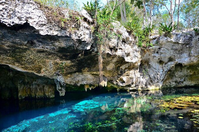 Tulum Area Guided Scooter Tour to 3 Cenote's, Snorkel/Swim & Local Lunch - Discovering the Three Cenotes in Tulum
