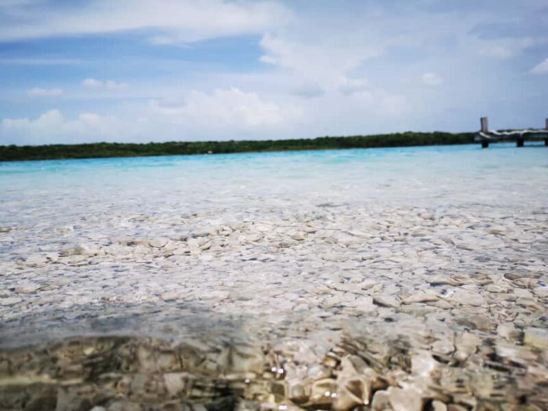 Tulum: Bacalar 7 Colors Lagoon Day Trip with Transport - Limitations and Considerations