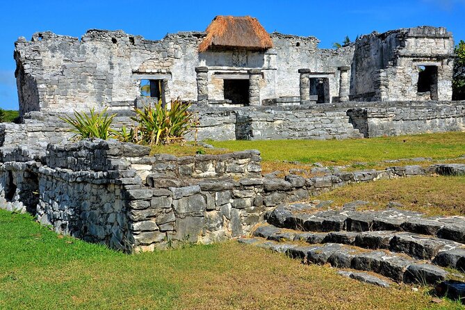 Tulum, Cenote and Playa del Carmen from Cancun - Guide Expertise and Overall Experience
