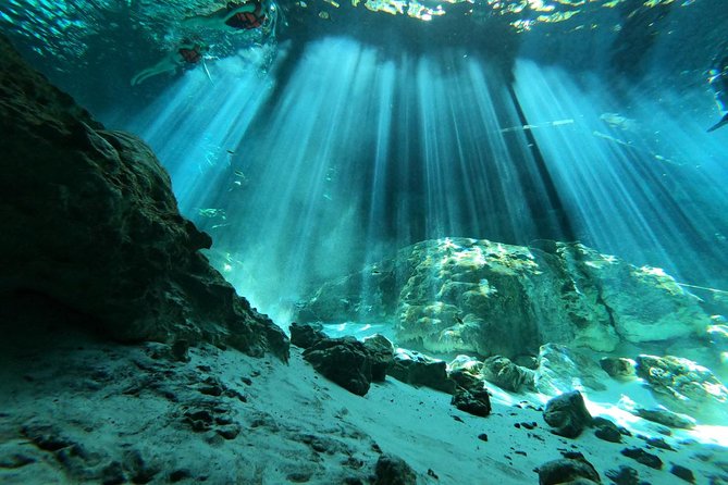 Tulum cenote diving. The ultimate experience in scuba - Key Points