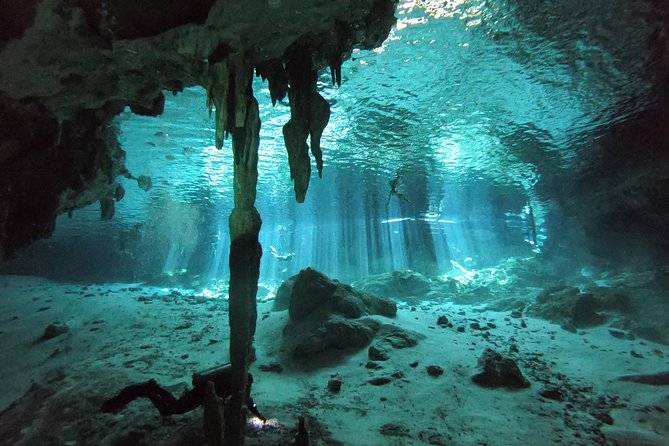 Tulum cenote diving. The ultimate experience in scuba - Practical Details: Logistics and Inclusions