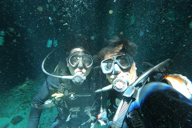 Tulum cenote diving. The ultimate experience in scuba - Addressing the Negative Feedback