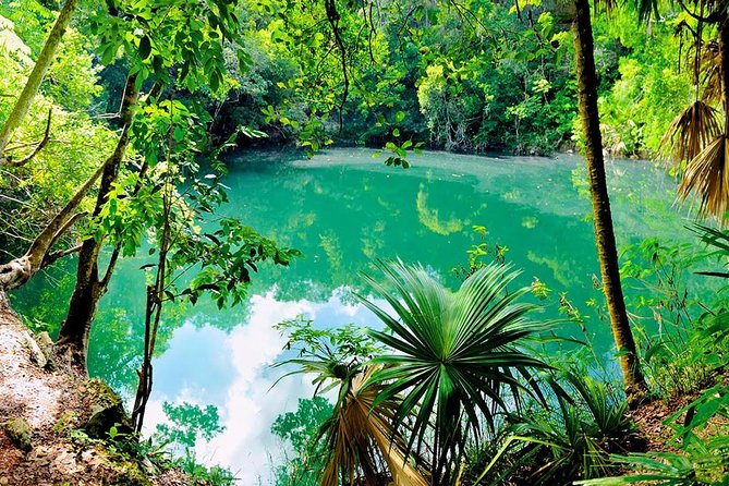 TULUM, CENOTE, MYSTIKA MUSEUM, TURTLES SNORKELING (Private) - Visiting the Mystika Museum and the Mayan Village