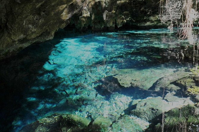 TULUM, CENOTE, MYSTIKA MUSEUM, TURTLES SNORKELING (Private) - Transportation and Guide Service: Personal Attention and Comfort