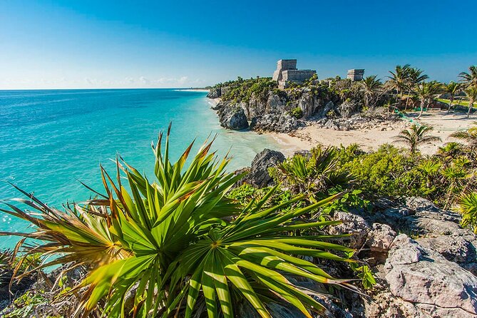 TULUM, CENOTE, MYSTIKA MUSEUM, TURTLES SNORKELING (Private) - Flexibility, Timing, and Booking Recommendations