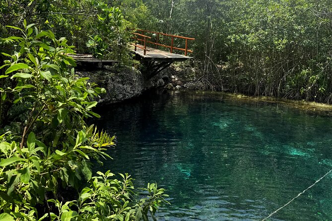 Tulum Cenotes Tour Experience - Logistics and Comfort of the Private Tour