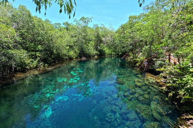 Tulum Cenotes Tour Experience - Final Thoughts on the Tulum Cenotes Tour