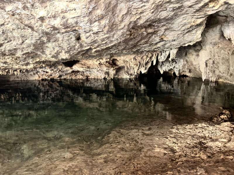Tulum: Cenotes Tour with Snorkeling and Lunch - Exploring Cenote Nic Te Ha’s Open Waters