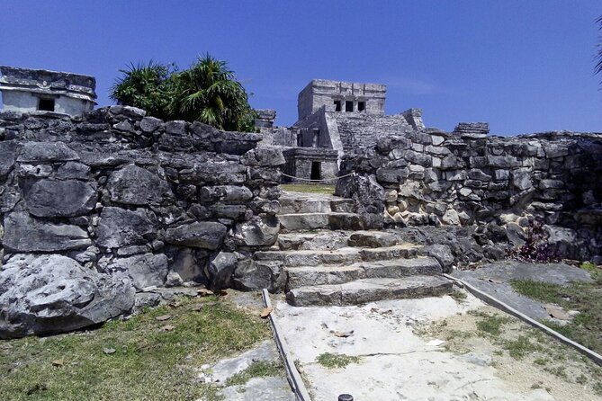 Tulum, Coba, Cenote & Playa del Carmen Tour - Exploring the Extensive Coba Maya Ruins with a Certified Guide