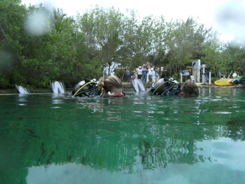 Tulum: Discover Scuba Diving in Cenotes - Discover the Magic of Tulums Cenotes with Scuba Diving