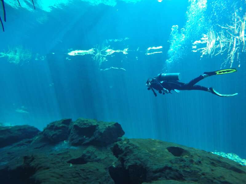 Tulum: Discover Scuba Diving in Cenotes - What to Expect: First-Time Scuba in Tulums Cenotes