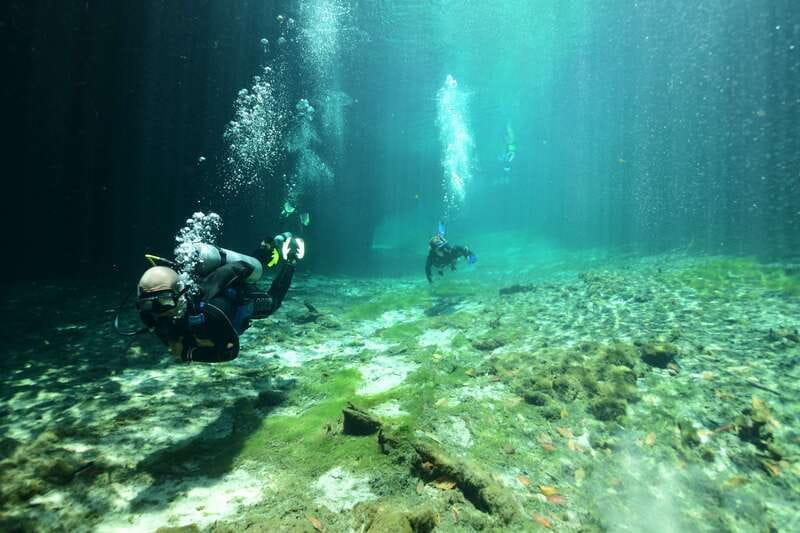 Tulum: Discover Scuba Diving in Cenotes - The Meeting Point and Transportation Options