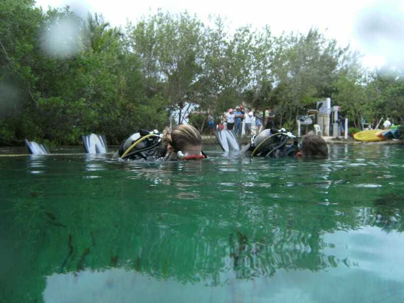 Tulum: Discover Scuba Diving in Cenotes - Customer Feedback: Praise for Guides and Experience