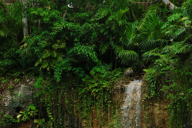 Tulum Essence Art and Photography Tour - Visit Tulum’s Iconic Ven A La Luz Sculpture