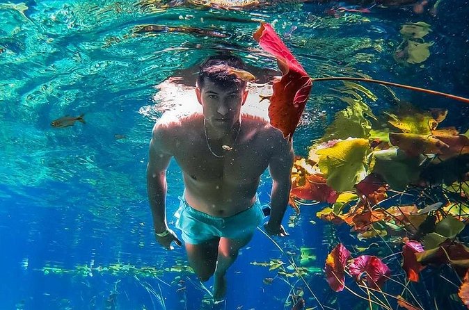 Tulum Insta Experience - Refreshing Visits to Crystal-Clear Cenotes