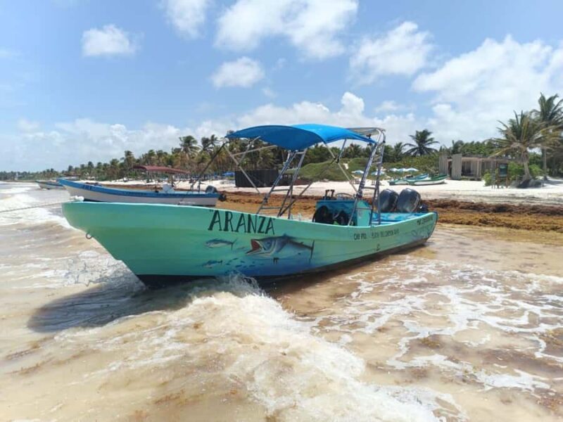 Tulum Jaguar Park Day Pass: snorkeling, lunch at the beach, and exploring the area - Practical Details and Logistics