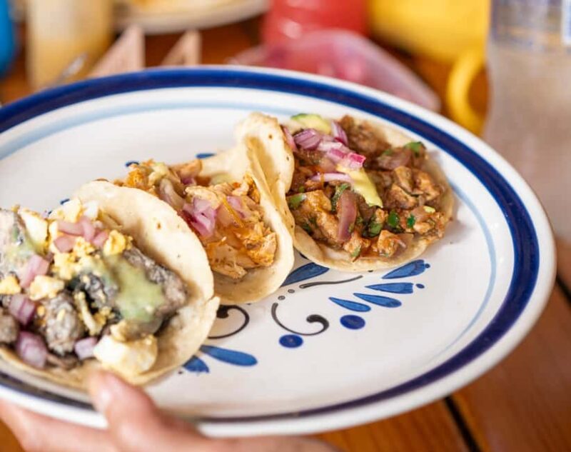 Tulum: Mayan Ruins & Sian Kaan Tour with Boat Ride and Lunch - Practical Details: Meeting Points, Transfers, and What to Bring