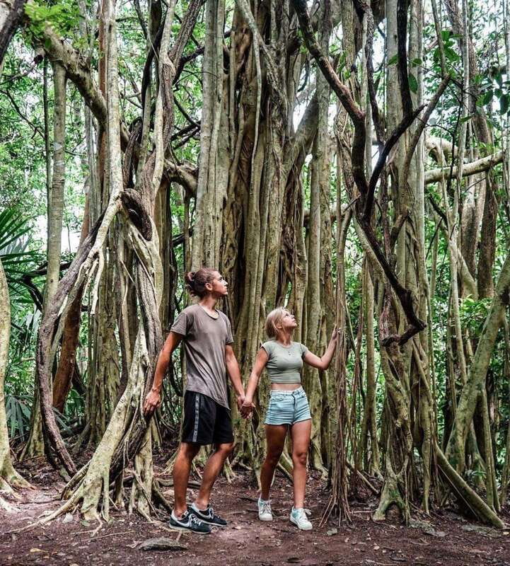 Tulum: Monkey Sanctuary Adventure - Exploring the Mayan Jungle and Nature Reserve