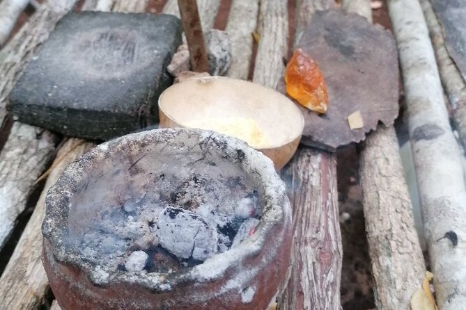 Tulum Monkey Sanctuary Tour Punta Laguna - Ziplining Over the Lagoon