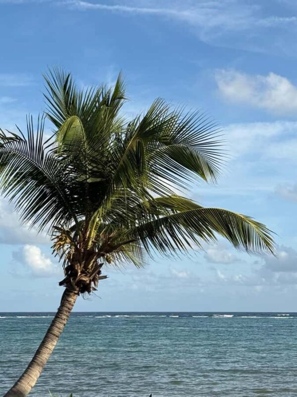 Tulum: Private Beach Photo and Video Session - Key Points