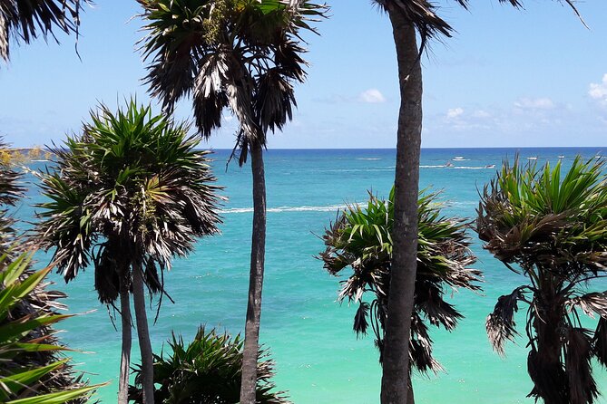 Tulum Private Boat Tour & Turtle Snorkeling Experience - Flexibility and Cancellation Policies