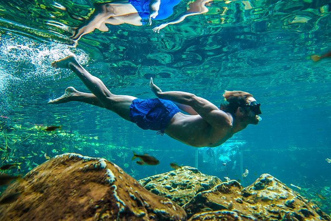 Tulum Ruinas and Tortugas Express - Who Will Enjoy This Tour Most