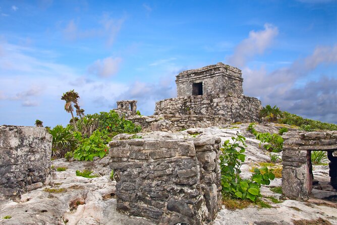 Tulum Ruins and Cenote Guided Tour, from Cancun - Swimming at Cenote Mariposa: A Natural Highlight