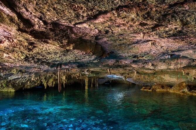 Tulum Ruins and Cenote Guided Tour, from Cancun - The Guide: Knowledgeable and Friendly