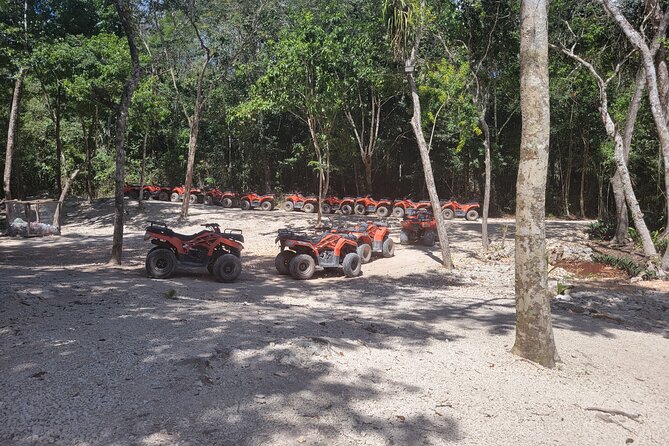 Tulum Ruins ATV Adventure and Cenote Swim with Mexican Food - Authentic Mayan Lunch and Cultural Experience
