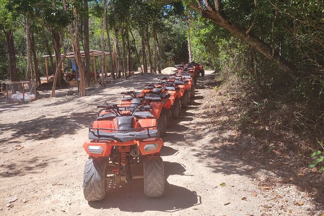 Tulum Ruins ATV Adventure and Cenote Swim with Mexican Food - At the End of the Day: Relaxation and Return to Playa del Carmen