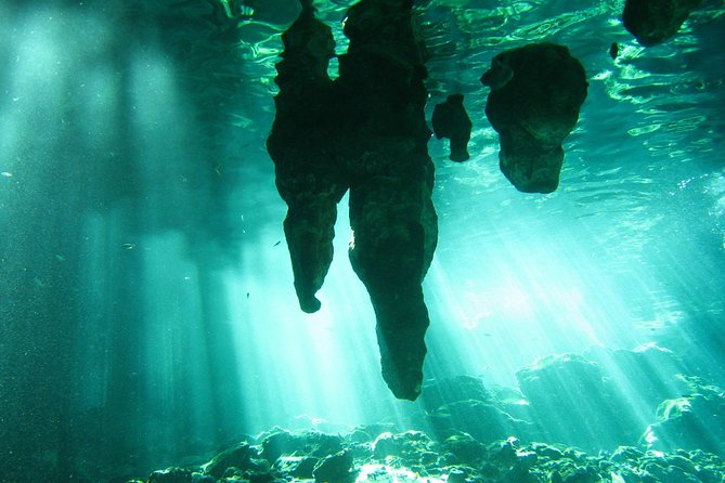 Tulum Ruins & Cenote guided private tour from Tulum and Riviera Maya. - What Sets This Tour Apart from Others