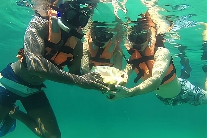 Tulum: Ruins, Reef & Cenote Small Group Day Trip - Who Will Enjoy This Tour Most?