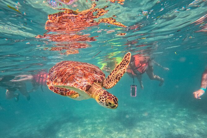 Tulum Ruins, Sea Turtles & Cenote Snorkeling Adventure Tour - Tulum Ruins, Sea Turtles & Cenote Snorkeling Adventure Tour Overview