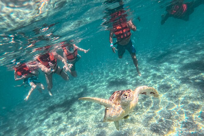 Tulum Ruins, Sea Turtles & Cenote Snorkeling Adventure Tour - Key Points