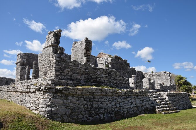 Tulum Ruins, Sea Turtles & Cenote Snorkeling Adventure Tour - Swimming with Sea Turtles in Akumal Bay