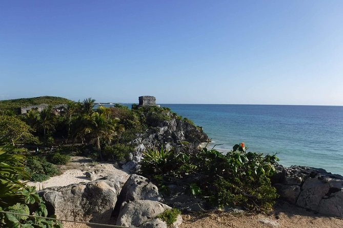 Tulum Ruins Tour (Private, Half Day) - Spotting Iguanas and Tropical Plants