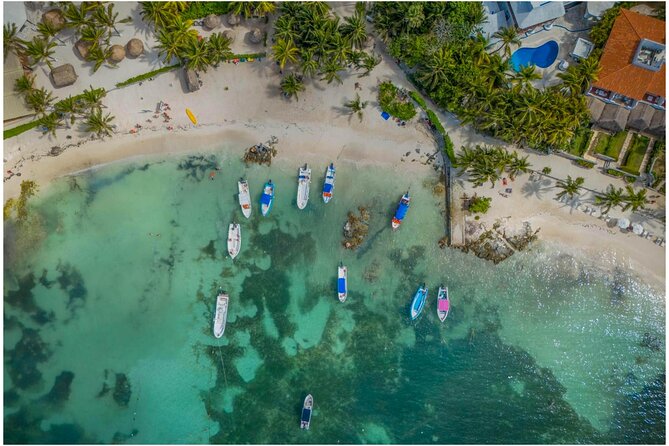 Tulum Ruins, Turtles in Akumal and Cenote tour - Discover the Best of Riviera Maya in One Day with the Tulum Ruins, Akumal Turtles, and Cenote Tour