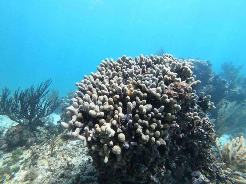 Tulum: Sailing tour - The Logistics: Meeting, Group Size, and Flexibility