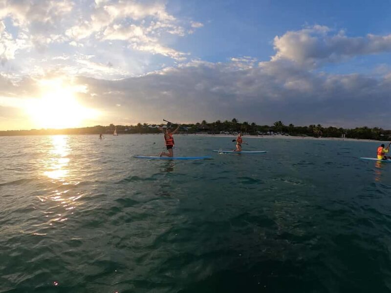 Tulum Stand-Up Paddleboard Tour - Logistics: Booking, Cancellation, and Group Size
