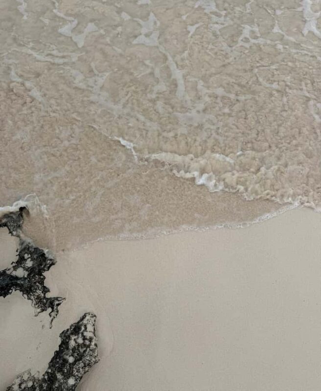 Tulum: Tulum Ruins and Sea Turtle Snorkeling Tour - Starting the Tour at the Tulum Ruins Entrance