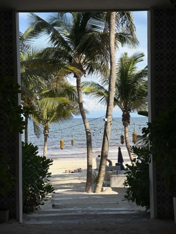 Tulum: Tulum Ruins and Sea Turtle Snorkeling Tour - Transition to Snorkeling with Sea Turtles