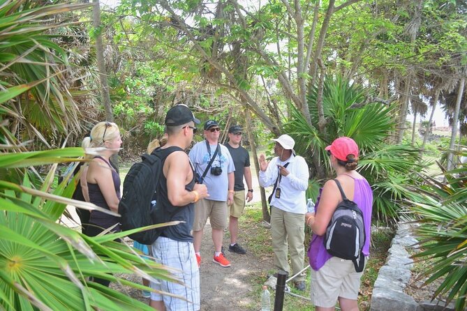 Tulum,Coba Aldeabal, Playa del Carmen & Cenote from Riviera Maya - Practical Transport Arrangements and Group Size