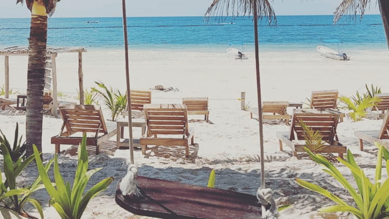 Tulum's Historical Treasures: A Private Walking Tour - What Sets This Tour Apart from Others in Tulum