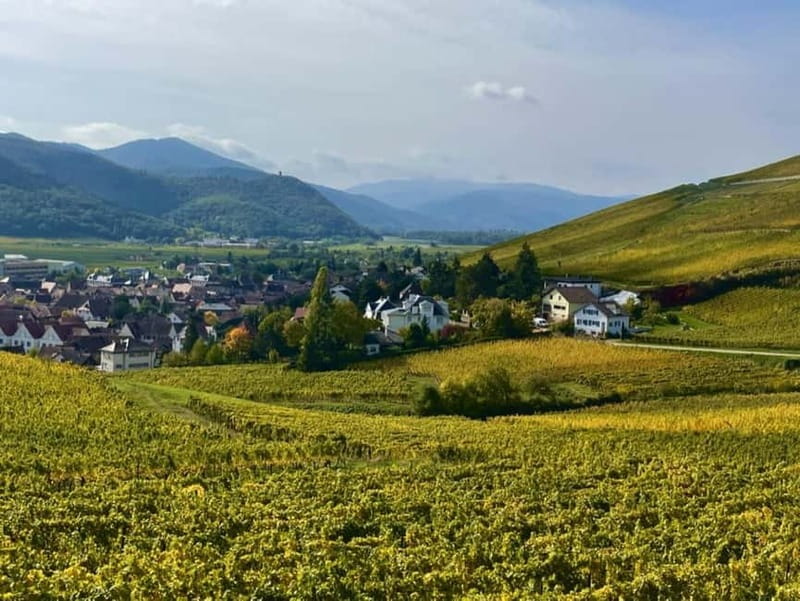 Turckheim: the town where the dragon sleeps, walking tour - Discover Old Houses, Carved Lintels, and Symbols of Protection
