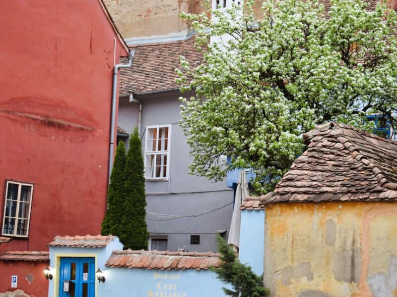 Turda Salt Mine & Sighisoara fortress (1 day, from Cluj) - Visiting the UNESCO-Listed Sighisoara Fortress