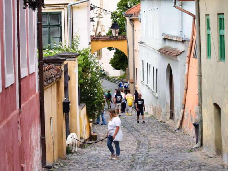 Turda Salt Mine & Sighisoara fortress (1 day, from Cluj) - Logistics and Tour Flexibility