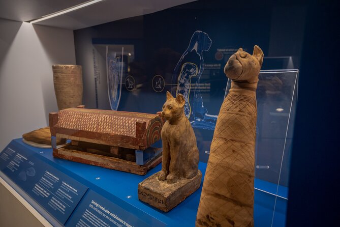Turin: Egyptian Museum Monolingual Skip-the-Line Guided Mystery Tour,Small group - Who Should Book This Tour?
