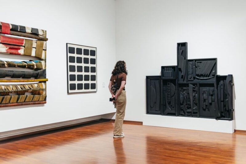 Turin: Gallery of Modern and Contemporary Art Entry Ticket - Tips for Visiting the GAM Museum