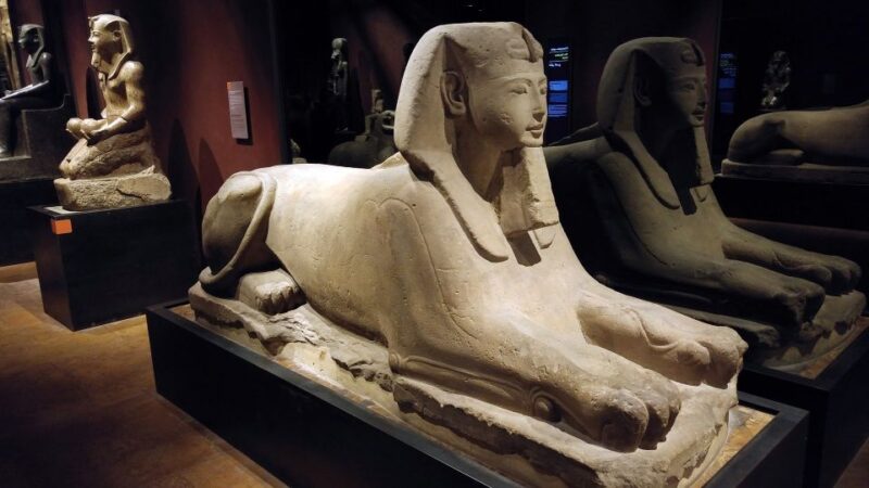 Turin: Guided Egyptian Museum Tour - What to Expect from the Guided Tour